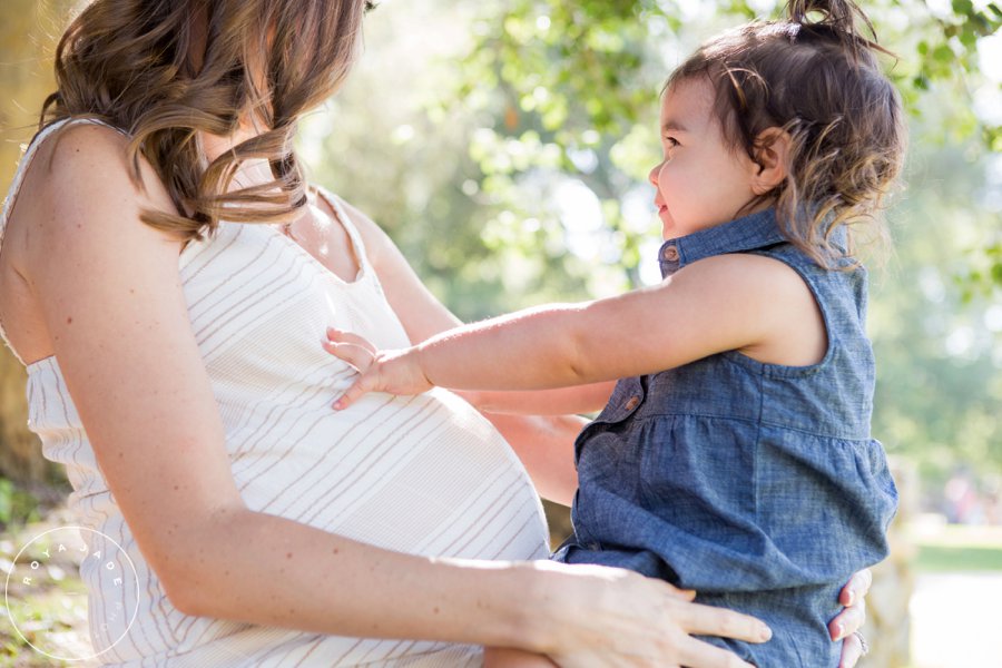 View More: http://royajade.pass.us/art--jens-photos