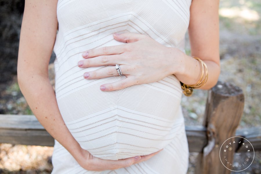 View More: http://royajade.pass.us/art--jens-photos