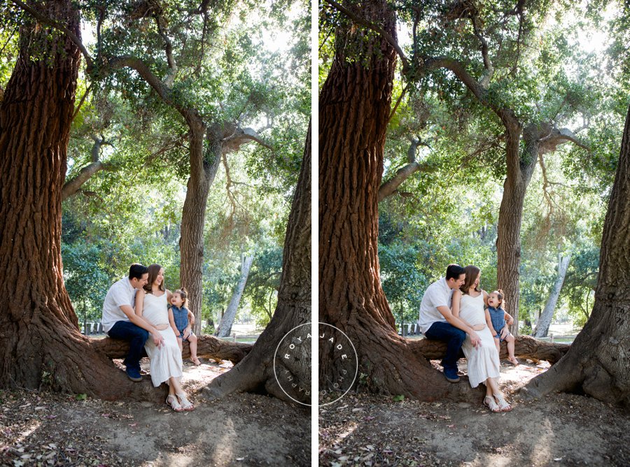 View More: http://royajade.pass.us/art--jens-photos