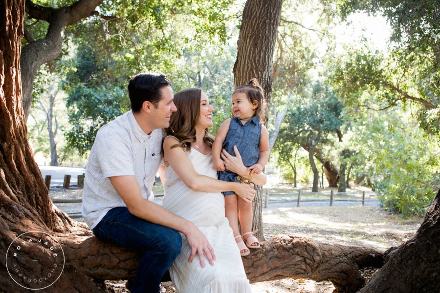 View More: http://royajade.pass.us/art--jens-photos